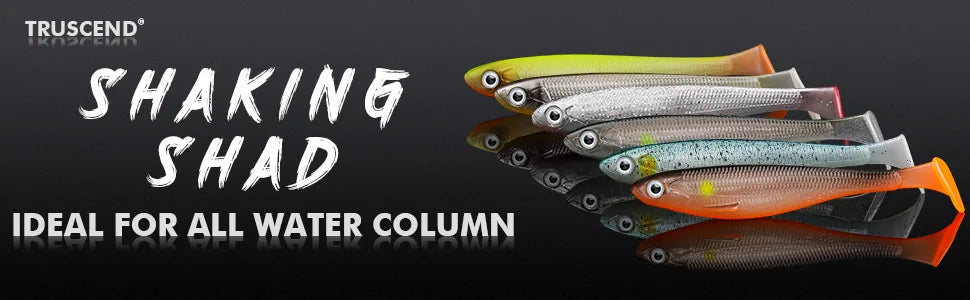 12pcs Fishing Bait T-tail Artificial Soft Fishing Lures Wobblers Fishing Soft Lures Silicone Shad Worm Bass Baits 3d eyes